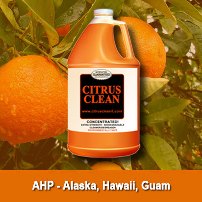 AHP Citrus Clean It® - 3 Case Special!
