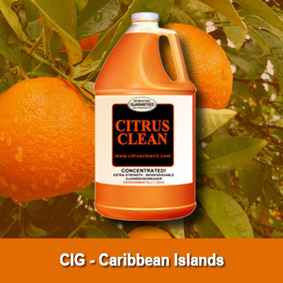 CIG Citrus Clean It® - 1 Case Special!